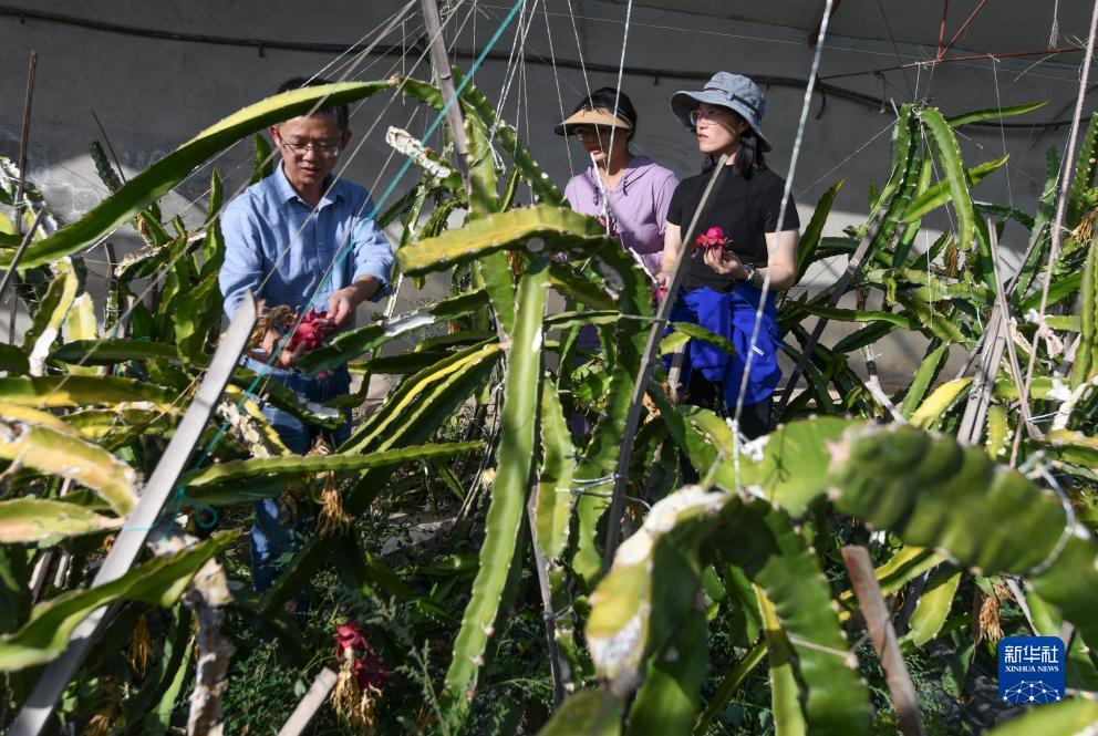 波克捕鱼的信任安全中心在哪儿